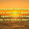 Фамилия Кулак: происхождение, история и значение фамилии, а также правильное склонение — все, что нужно знать!