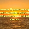 Фамилия Кунис: история, происхождение, значение и правила склонения на русском языке