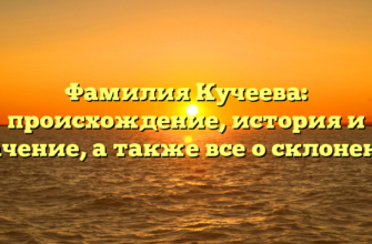 Фамилия Кучеева: происхождение, история и значение, а также все о склонении Фамилия Кучеева: происхождение, история и значение, а также все о склонении