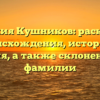 Фамилия Кушников: раскрытие происхождения, истории и значения, а также склонения этой фамилии