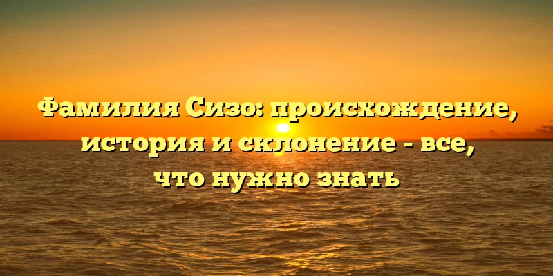 Фамилия Сизо: происхождение, история и склонение - все, что нужно знать Фамилия Сизо: происхождение, история и склонение - все, что нужно знать