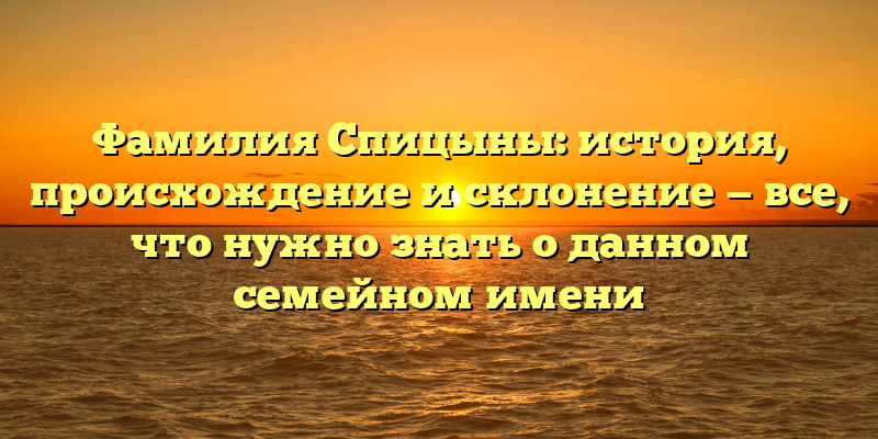 Фамилия Спицыны: история, происхождение и склонение — все, что нужно знать о данном семейном имени
