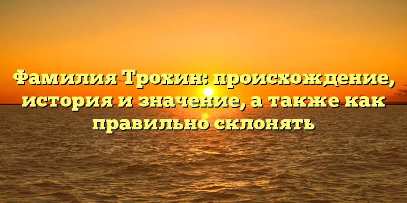 Фамилия Трохин: происхождение, история и значение, а также как правильно склонять