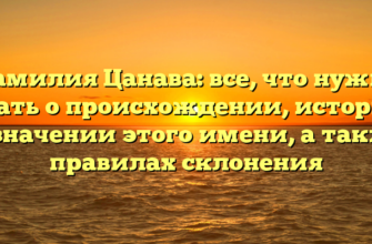 Фамилия Цанава: все, что нужно знать о происхождении, истории и значении этого имени, а также правилах склонения Фамилия Цанава: все, что нужно знать о происхождении, истории и значении этого имени, а также правилах склонения