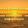 Фамилия Цгоева: история и происхождение, значение и правильное склонение – подробная информация