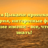 Фамилия Цыкало: происхождение и история, интересные факты и склонение имени – все, что нужно знать!