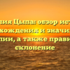 Фамилия Цыпа: обзор истории, происхождения и значимости фамилии, а также правильное склонение