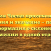 Фамилия Чаева: происхождение, история и значение — полная информация о склонении фамилии в одной статье