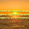 Фамилия Человек-муравей: история, происхождение и секреты ее склонения