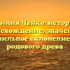 Фамилия Ченко: история и происхождение, значение и правильное склонение для родового древа