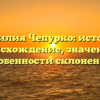 Фамилия Чепурко: история, происхождение, значение и особенности склонения