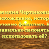 Фамилия Чертыковцев: происхождение, история и значение фамилии. Как правильно склонять и использовать её?