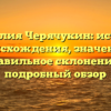 Фамилия Черячукин: история происхождения, значение и правильное склонение — подробный обзор