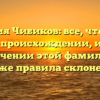 Фамилия Чибиков: все, что нужно знать о происхождении, истории и значении этой фамилии, а также правила склонения