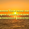Фамилия Чиженок: полная история происхождения и склонения фамилии