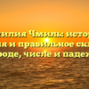 Фамилия Чмиль: история, значения и правильное склонение в роде, числе и падеже