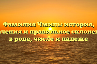 Фамилия Чмиль: история, значения и правильное склонение в роде, числе и падеже Фамилия Чмиль: история, значения и правильное склонение в роде, числе и падеже