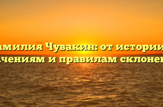Фамилия Чувакин: от истории к значениям и правилам склонения Фамилия Чувакин: от истории к значениям и правилам склонения