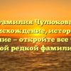 Фамилия Чулюкова: происхождение, история и значение — откройте все тайны этой редкой фамилии.
