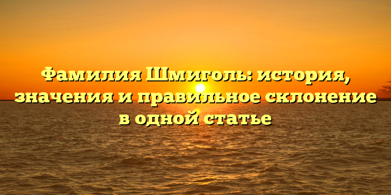 Фамилия Шмиголь: история, значения и правильное склонение в одной статье