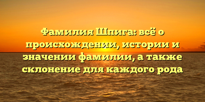 Фамилия Шпига: всё о происхождении, истории и значении фамилии, а также склонение для каждого рода