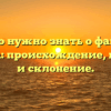 Все, что нужно знать о фамилии Конеева: происхождение, история и склонение.