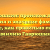 Гаврюшкин: происхождение, история и значение фамилии. Узнайте, как правильно склонять фамилию Гаврюшкин.