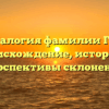 Генеалогия фамилии Гирт: происхождение, история и перспективы склонения