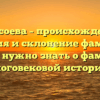 Джусоева – происхождение, история и склонение фамилии: всё, что нужно знать о фамилии с многовековой историей