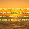 Изучаем происхождение и историю фамилии Цай: значение и правильное склонение с помощью нашей статьи!
