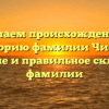 Изучаем происхождение и историю фамилии Чичек: значение и правильное склонение фамилии
