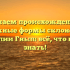 Изучаем происхождение и сложные формы склонения фамилии Гнып: всё, что нужно знать!