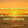 Исследование фамилии Домасс: происхождение, история и значение, а также склонение во всех падежах