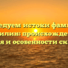 Исследуем истоки фамилии Курилин: происхождение, значения и особенности склонения