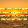 История и значения фамилии Гаттс: раскрытие происхождения и тонкостей склонения для любознательных