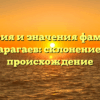 История и значения фамилии Карагаев: склонение и происхождение