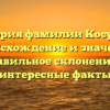История фамилии Косухин: происхождение и значение, правильное склонение и интересные факты