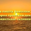 Откуда пошла фамилия Дикус: история происхождения и правильное склонение
