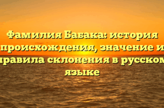 Фамилия Бабака: история происхождения, значение и правила склонения в русском языке Фамилия Бабака: история происхождения, значение и правила склонения в русском языке