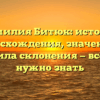 Фамилия Битюк: история происхождения, значения и правила склонения — всё, что нужно знать