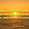 Фамилия Блех: полное руководство по происхождению, истории, значению и склонению!