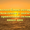 Фамилия Бобек: история, происхождение и значение, а также правильное склонение в наши дни