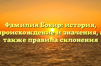 Фамилия Бобир: история, происхождение и значения, а также правила склонения Фамилия Бобир: история, происхождение и значения, а также правила склонения