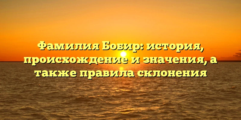 Фамилия Бобир: история, происхождение и значения, а также правила склонения Фамилия Бобир: история, происхождение и значения, а также правила склонения