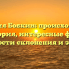 Фамилия Бобкин: происхождение и история, интересные факты, особенности склонения и значение