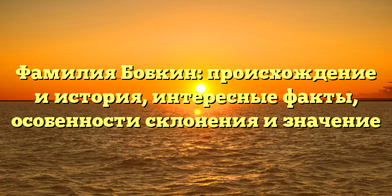 Фамилия Бобкин: происхождение и история, интересные факты, особенности склонения и значение