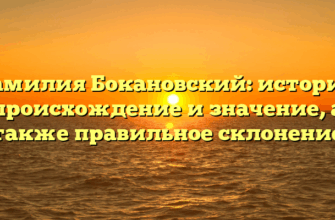 Фамилия Бокановский: история, происхождение и значение, а также правильное склонение Фамилия Бокановский: история, происхождение и значение, а также правильное склонение