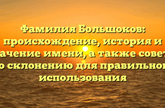 Фамилия Большоков: происхождение, история и значение имени, а также советы по склонению для правильного использования