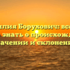 Фамилия Борухович: все, что нужно знать о происхождении, значении и склонении