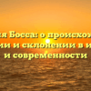 Фамилия Босса: о происхождении, значении и склонении в истории и современности